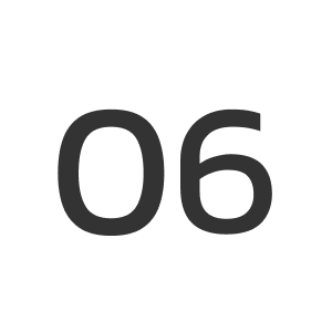 06