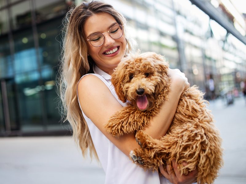 beauty-woman-with-her-dog-playing-outdoors-LN2XF4U.jpg